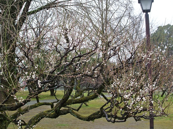 DSC_2560.jpg