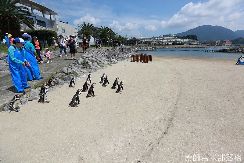 Kyushu_160721_0340.jpg