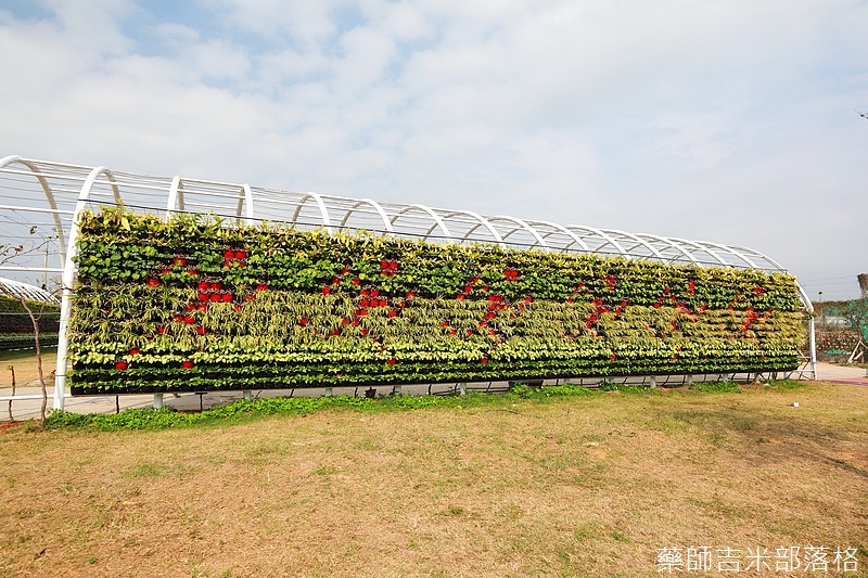 2018Floraexpo_242.jpg