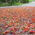 IMG_1219.JPG