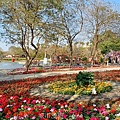 20230127_114800.jpg