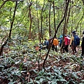 20240114_132612.jpg