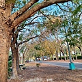 20240203_154849.jpg
