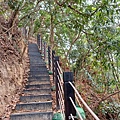 20240405_130543.jpg