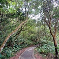 20240330_142108.jpg