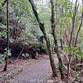 20240330_143112.jpg