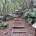 20240330_143739.jpg
