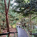 20240330_145714.jpg