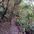 20240330_160856.jpg