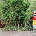20240420_114904.jpg