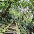 20240420_121020.jpg