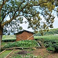20240504_105138.jpg