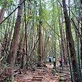 20240518_113805.jpg