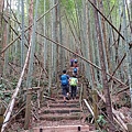 20240518_122438.jpg