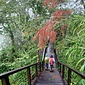 20240518_155356.jpg
