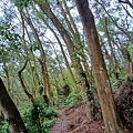 20240609_103009.jpg