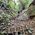 20240609_121800.jpg