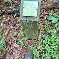 20240609_133038.jpg