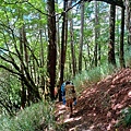 LINE_ALBUM_2024625_240625_34.jpg