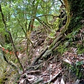 LINE_ALBUM_2024625_240625_42.jpg