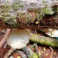 LINE_ALBUM_2024625_240625_71.jpg