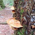 LINE_ALBUM_2024625_240625_72.jpg