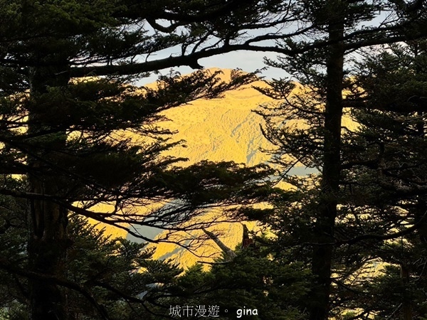 LINE_ALBUM_2024625_240625_92.jpg