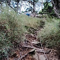 LINE_ALBUM_2024625_240625_95.jpg