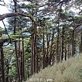LINE_ALBUM_2024625_240625_98.jpg