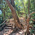20240803_102103.jpg