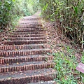 20240817_132956.jpg