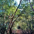 20241013_102521.jpg