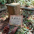 20241013_121459.jpg