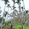 20241019_101315.jpg