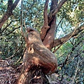 20241228_123639.jpg