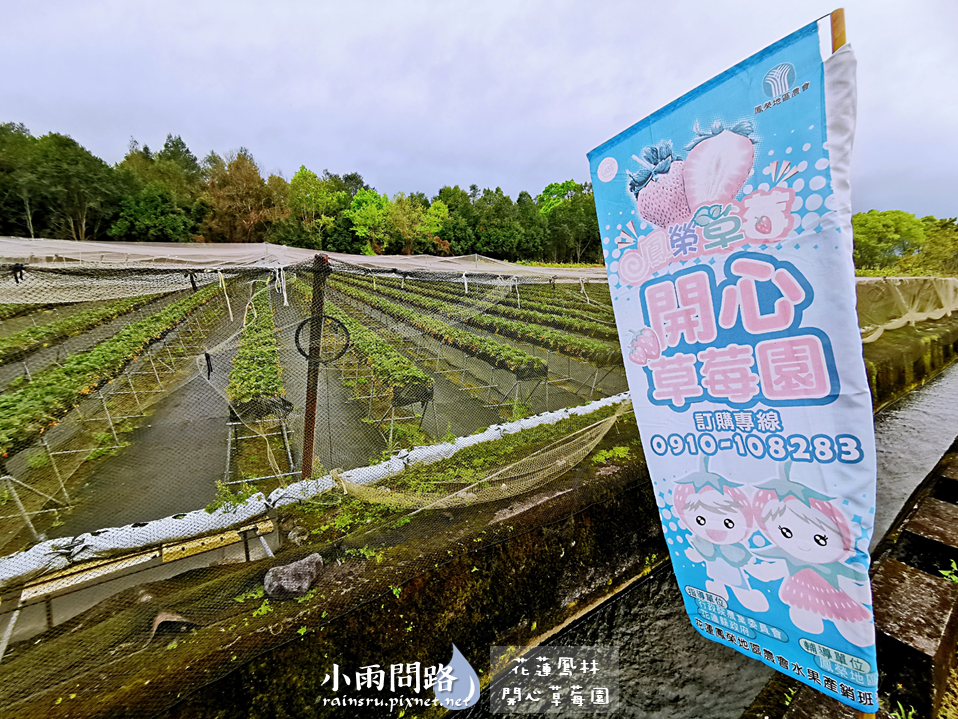 花蓮採草莓推薦｜鳳林開心草莓園｜親子景點免門票｜高架草莓｜草莓季尾巴追一波！ (4).PNG