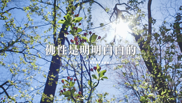 封面_天界之舟金句(29)正能量真理語錄｜心靈勵志｜天界之舟佛法正宗｜天雲老師｜佛性是明明白白的.png