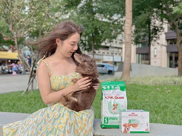 法國皇家 ROYAL CANIN｜專為老犬設計的小型老犬乾糧