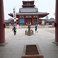 大阪賞櫻景點【四天王寺】讓人心花怒放美麗枝垂櫻，日本最古老的建築樣式之一