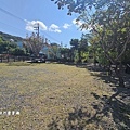 墾丁露營區【29觀海營區】走路就到萬里桐潮間帶看寄居蟹，森林系營位