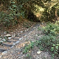IMG_8007.jpg