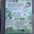 IMG_8038.jpg