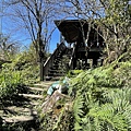 IMG_7140.jpg